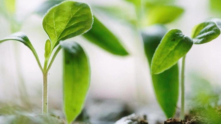 Artificial Intelligence in Marketing: Boost the Growth in 2022 Artificial Intelligence in Marketing: Boost the Growth in 2022