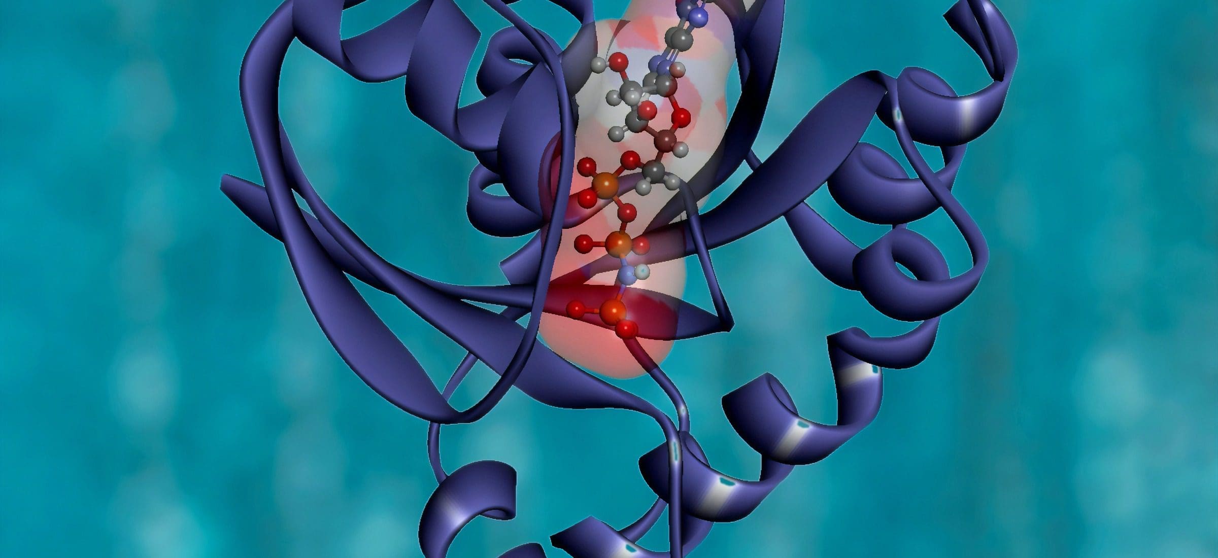 Healthcare App Development Guide: Features, Regulations, Case Studies