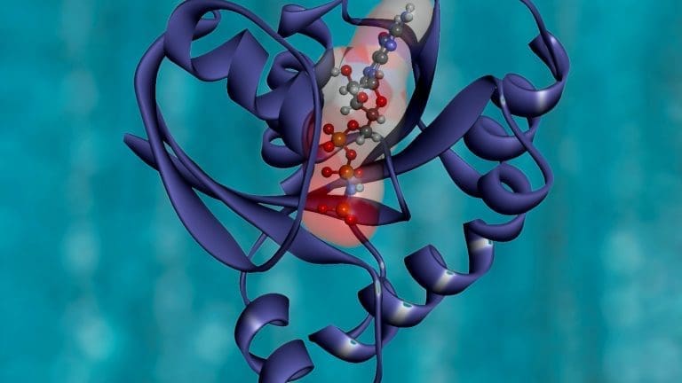 Healthcare App Development Guide: Features, Regulations, Case Studies Healthcare App Development Guide: Features, Regulations, Case Studies