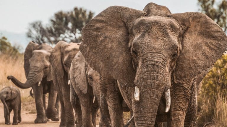 Modernizing Legacy Applications in PHP Challenges and Approaches Modernizing Legacy Applications in PHP Challenges and Approaches