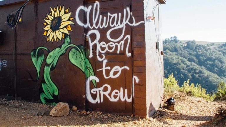 How to Scale Software Products for Tech Startups How to Scale Software Products for Tech Startups